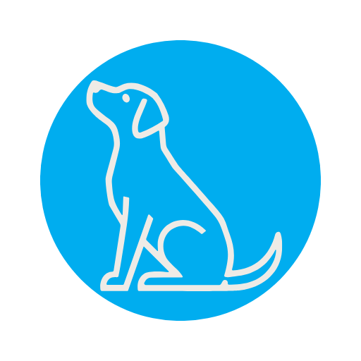 Experienced staff